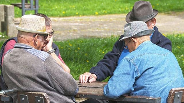 Pension Funds are for pensioners. Period.