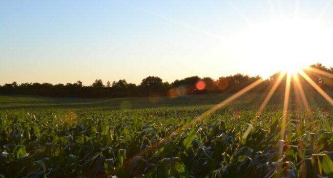 Plant health a decidedly human issue