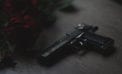gun firearm weapon The high cost of ineffective anti-terror measures