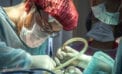 Plastic surgery covid We still need plastics despite Trudeau’s vow to get rid of them