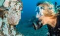 Diver face to face with sculpture Face to face still most powerful communication medium
