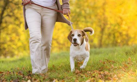 Tired of dog poop in public spaces? You’re not alone