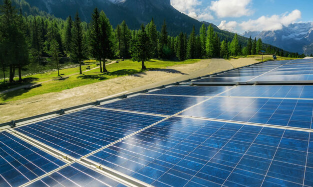 Alberta is killing a free-enterprise golden goose